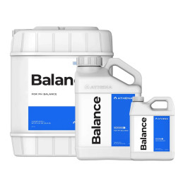 Athena Balance