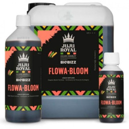 Flowa Bloom Juju Royal By...